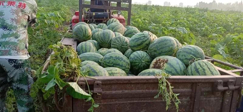 /uploads/image/2020/07/08/北1.jpg 北1.jpg