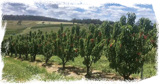 /uploads/image/2021/12/17/image.png image.png